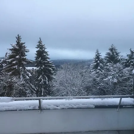 Lägenhet Premium Winterberg